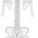 PT楠貴光の臨床家ノート　肩甲骨の機能を運動学的に考える　その23   肩甲骨機能について